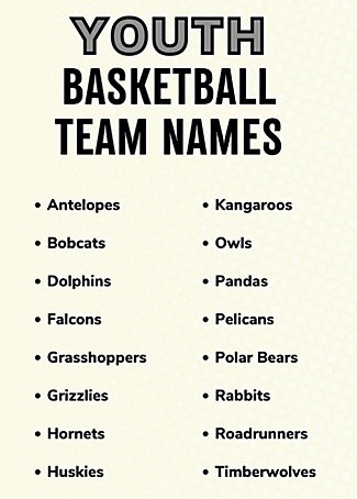 Youth Basketball Team Names